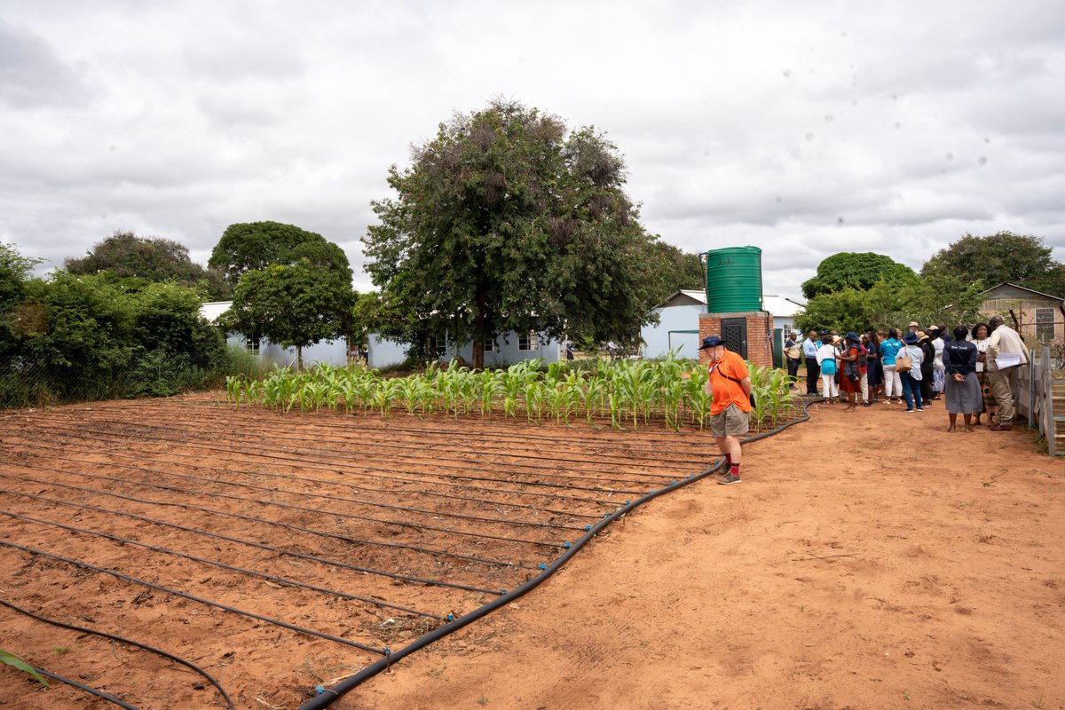 UNICEF ZIMBABWE tweet media