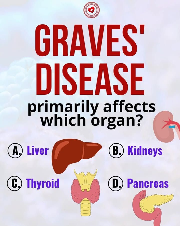 AllScientifical's tweet photo. Graves' disease primarily affects which organ?
A. Liver
B. Kidneys
C. Thyroid
D. Pancreas
#gravesdisease #thyroid #endocrinology #questionanswer ... Continue to: https://t.co/ubSm1RUx5r https://t.co/h9zTudvTt2