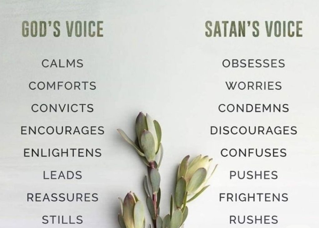 PrayItForward01's tweet photo. @redpillb0t know the difference. #PrayItForward https://t.co/hU6HT3yfec