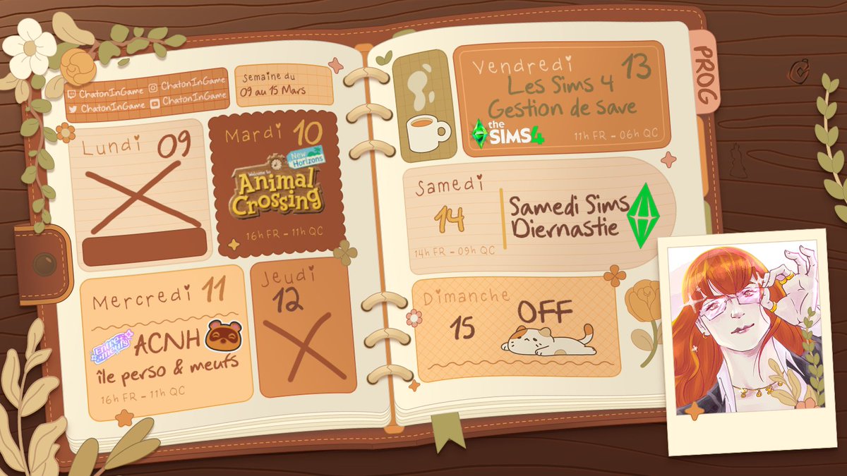 ChatonInGame 🐈 tweet media