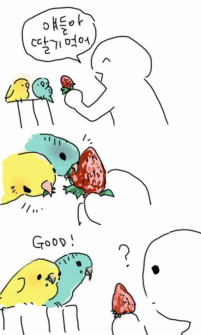 🤔🍓 