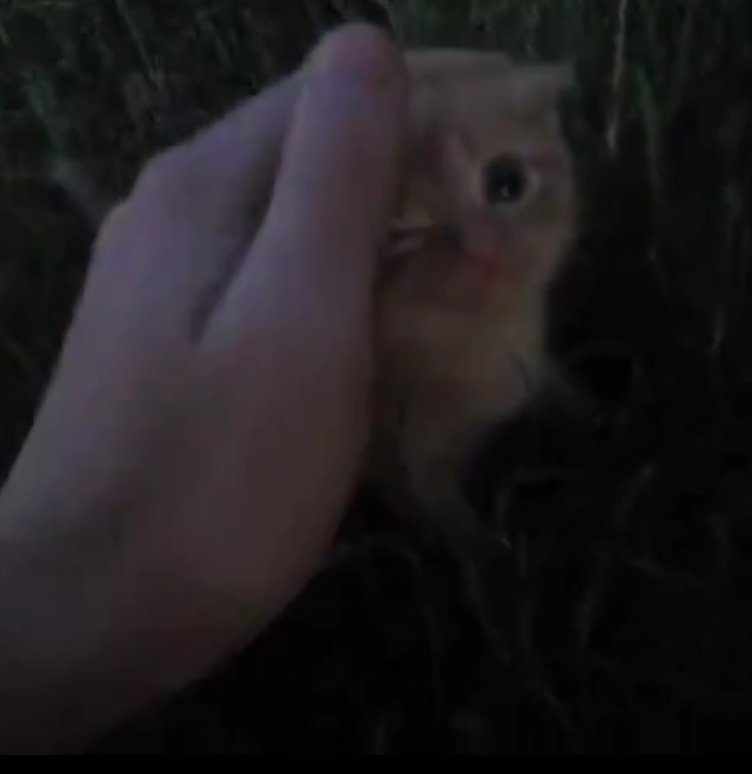 No/Sense Alexis 🔔 tweet media