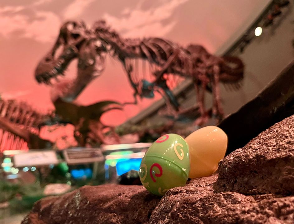 The Children's Museum tweet media