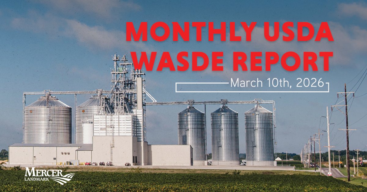 Mercer Landmark tweet media