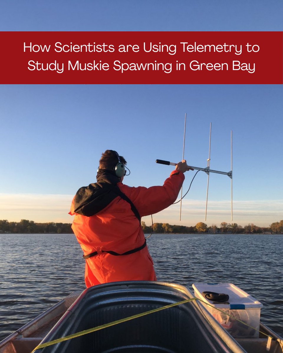 FishSens Magazine tweet media