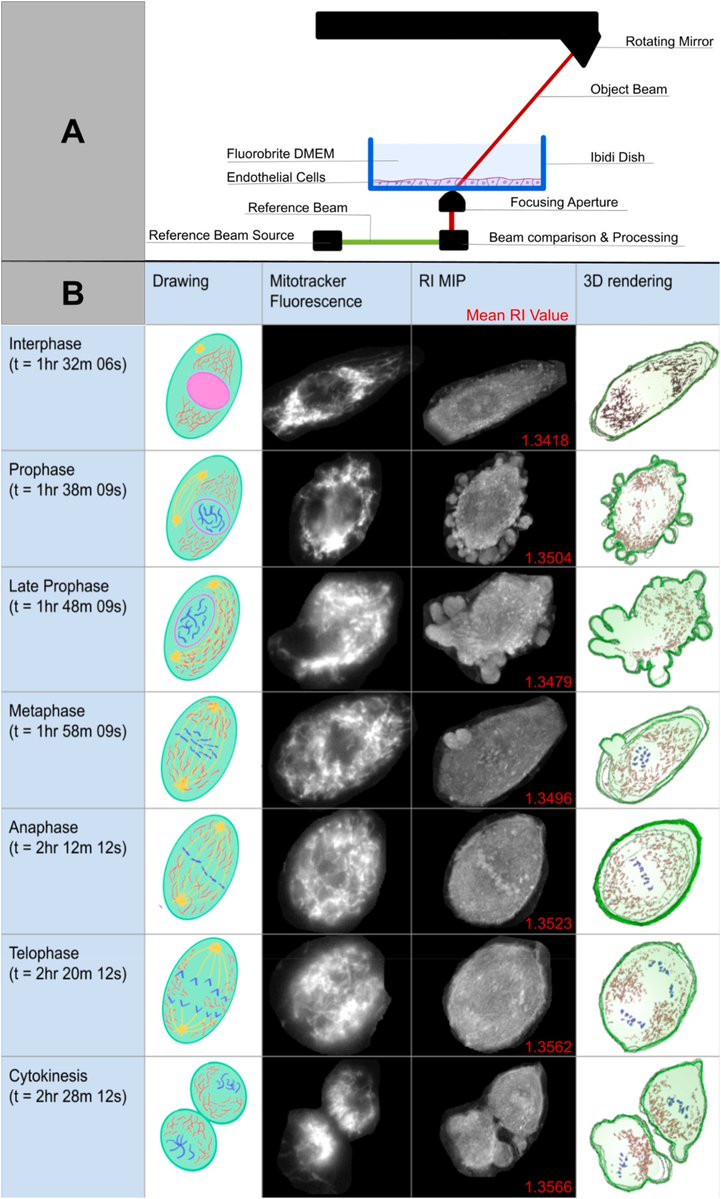 Journal of Precision Medicine: Health and Disease tweet media