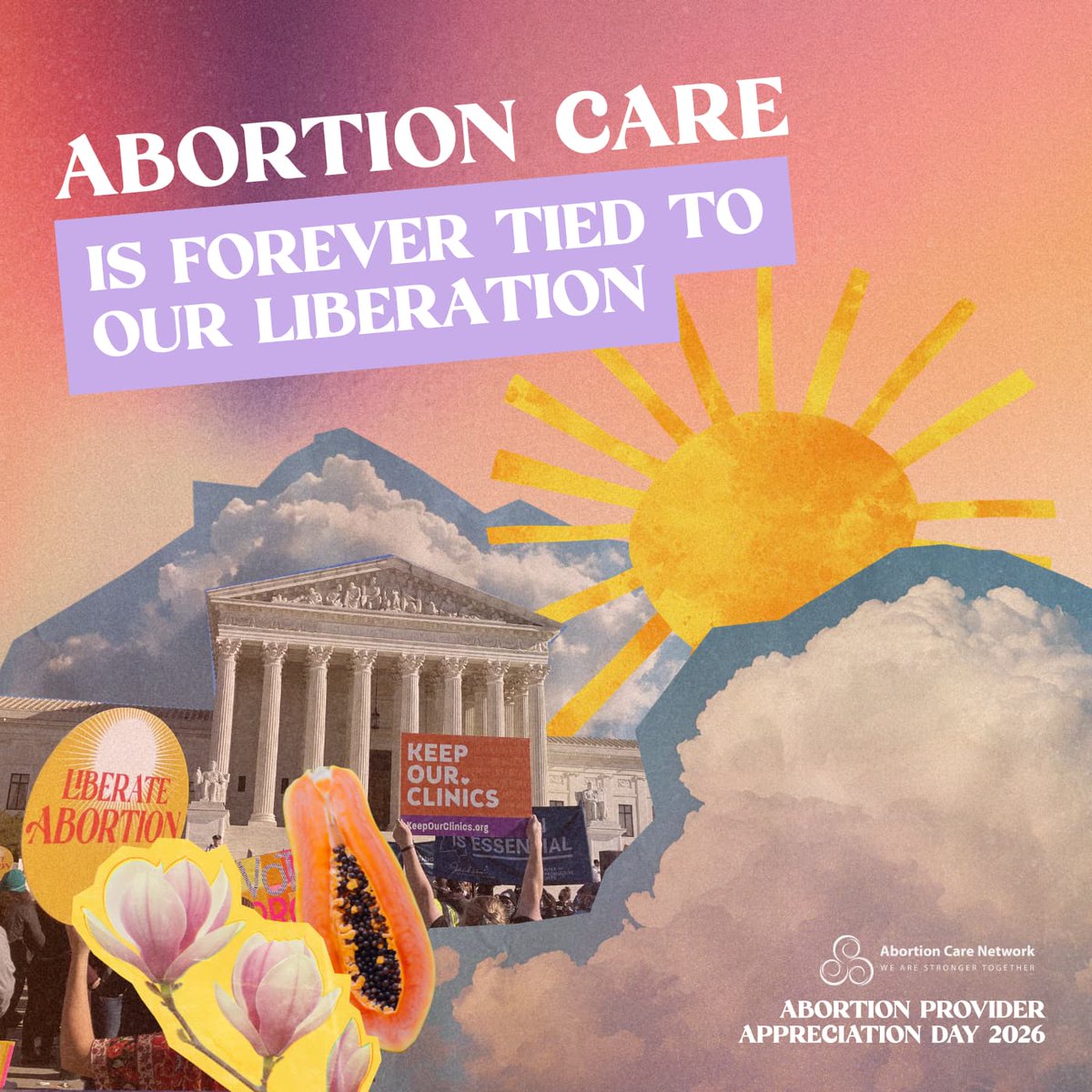 Jane's Due Process tweet media