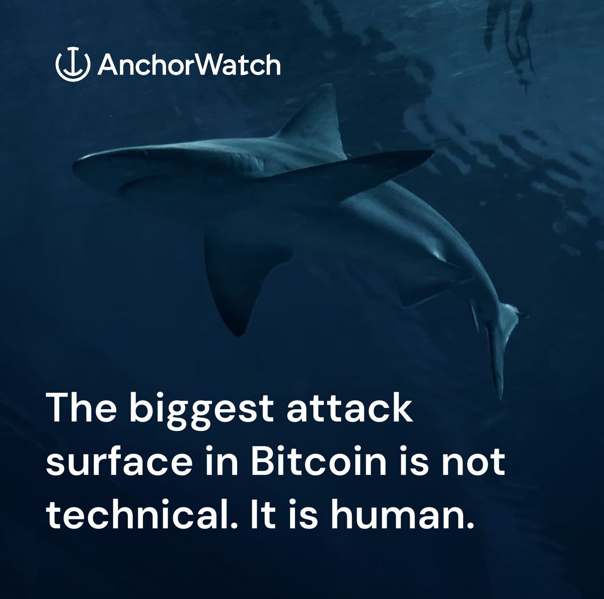 AnchorWatch tweet media