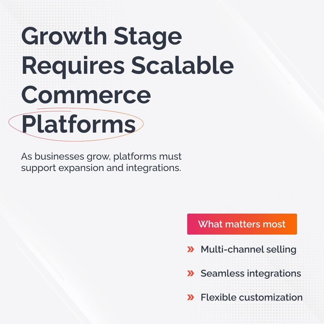 Magneto IT Solutions tweet media