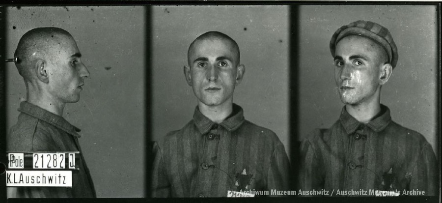 Auschwitz Memorial tweet media