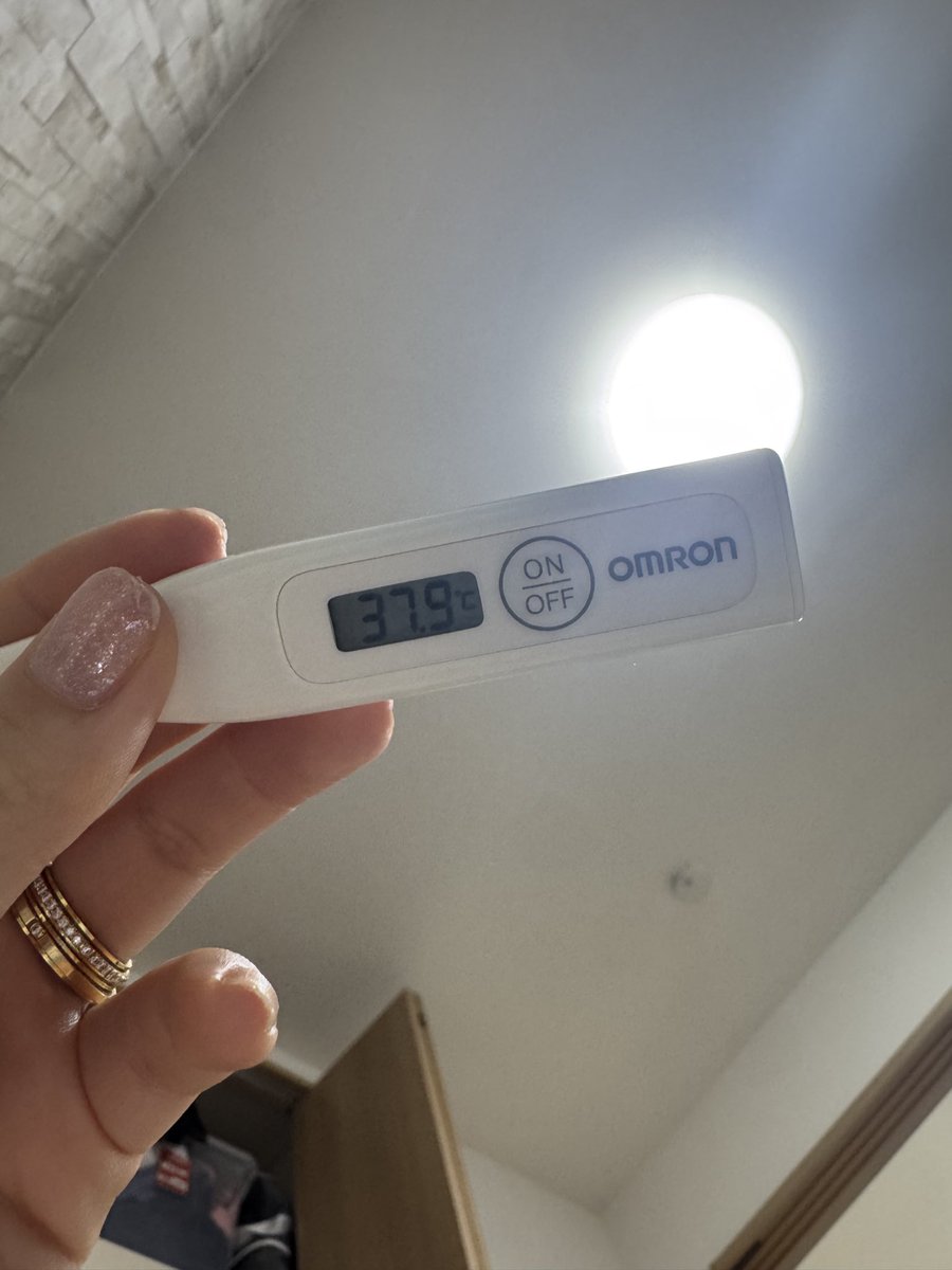 あいらさん🦪@ホイネキ tweet media