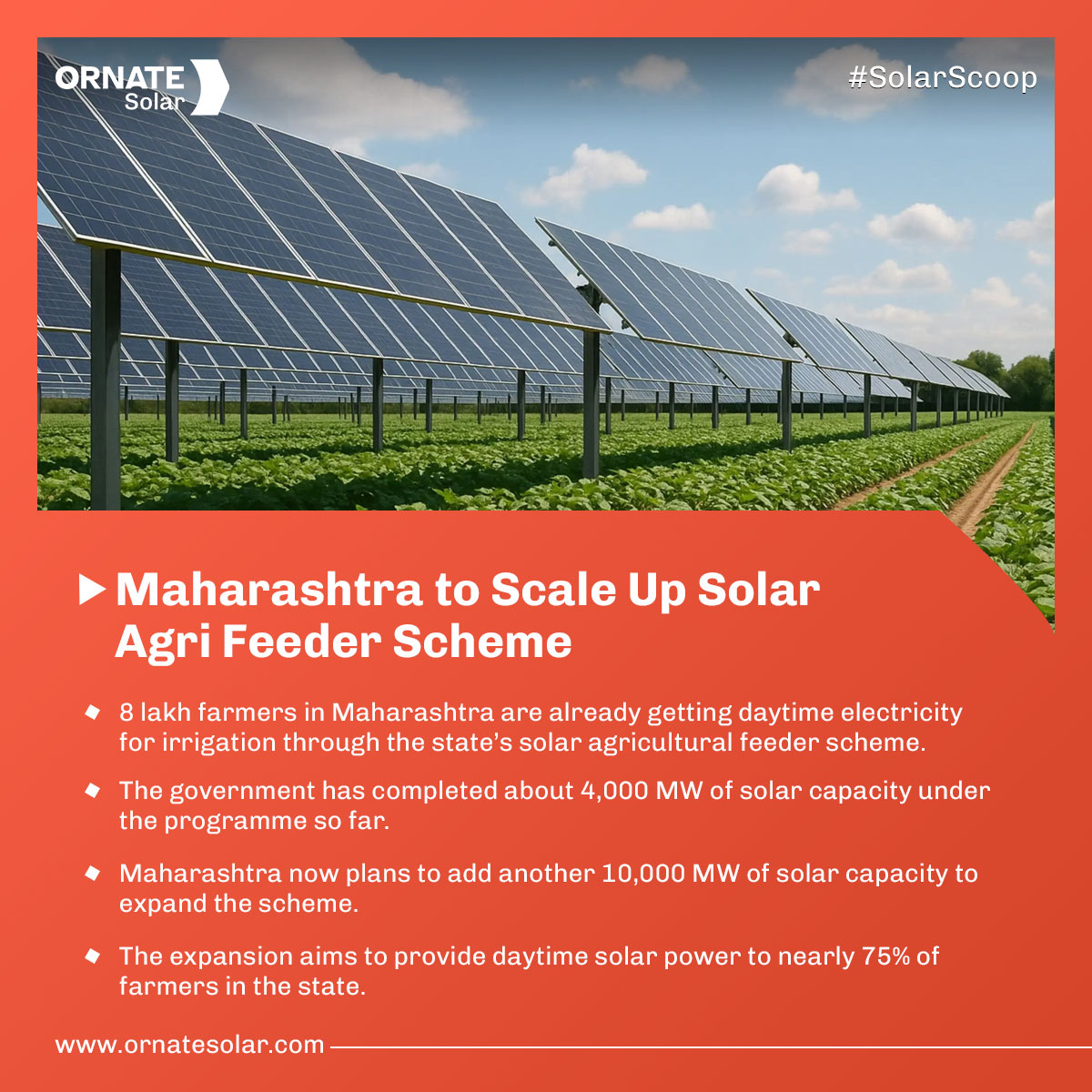 Ornate Solar tweet media