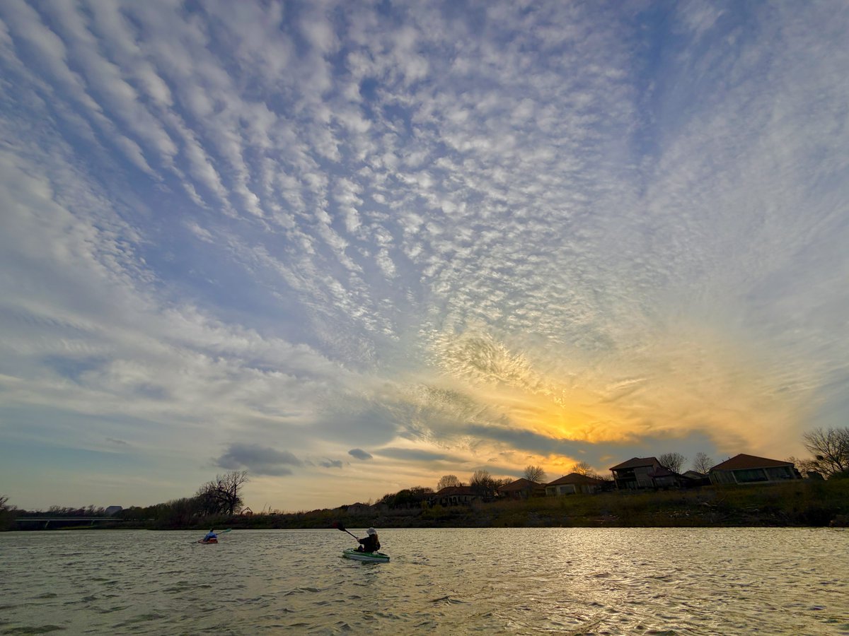 Wombat_Mätt ✭ tweet media