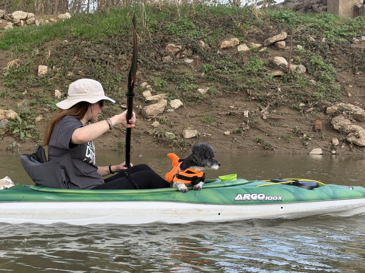 Wombat_Mätt ✭ tweet media