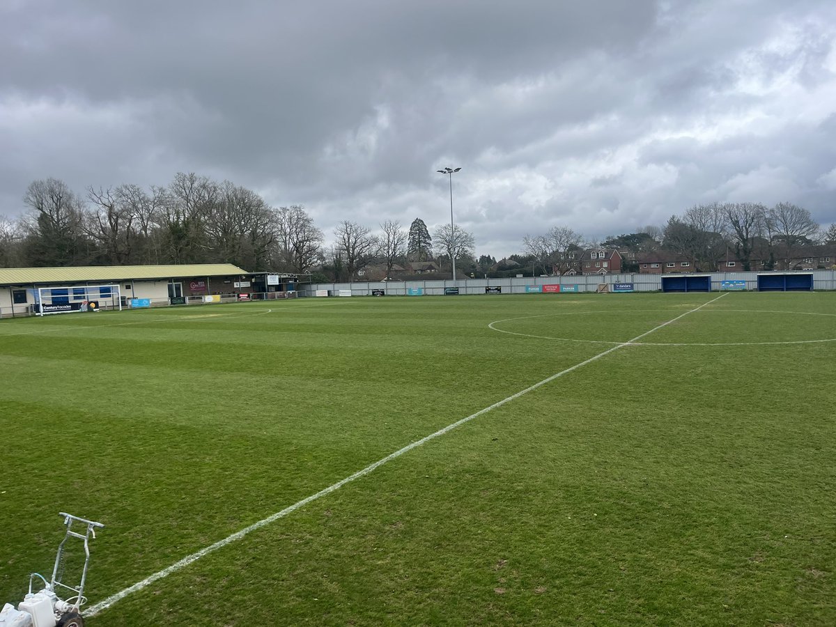 nick collick tweet media