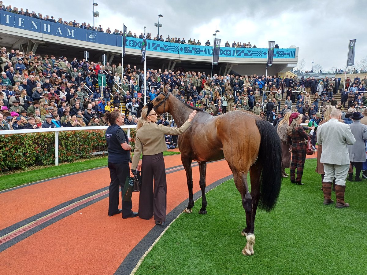 Nick Robson tweet media