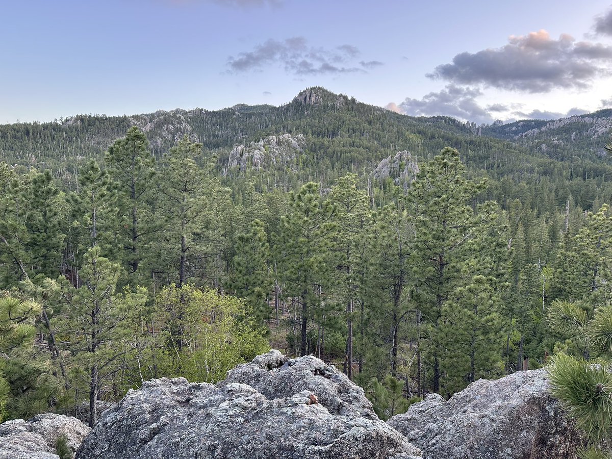 HikingLawyer's tweet image. Last May, I spent 4 days backpacking in South Dakota, including the Southern Section of the Centennial Trail.  The transformation from the rolling hills of Wind Cave NP to the pinnacles of Custer in the Black Hills was magic.

#backpacking #hike #outdooradventures