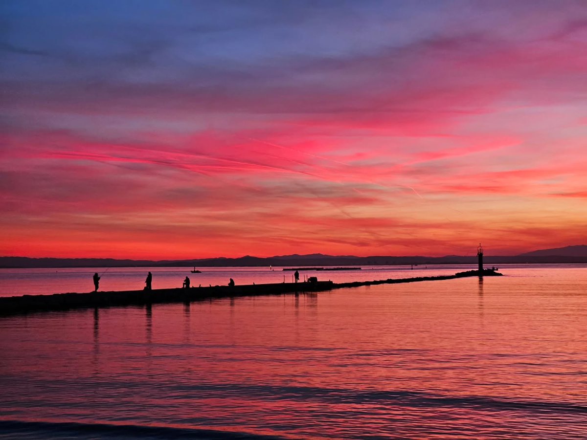 Visit Roses tweet media