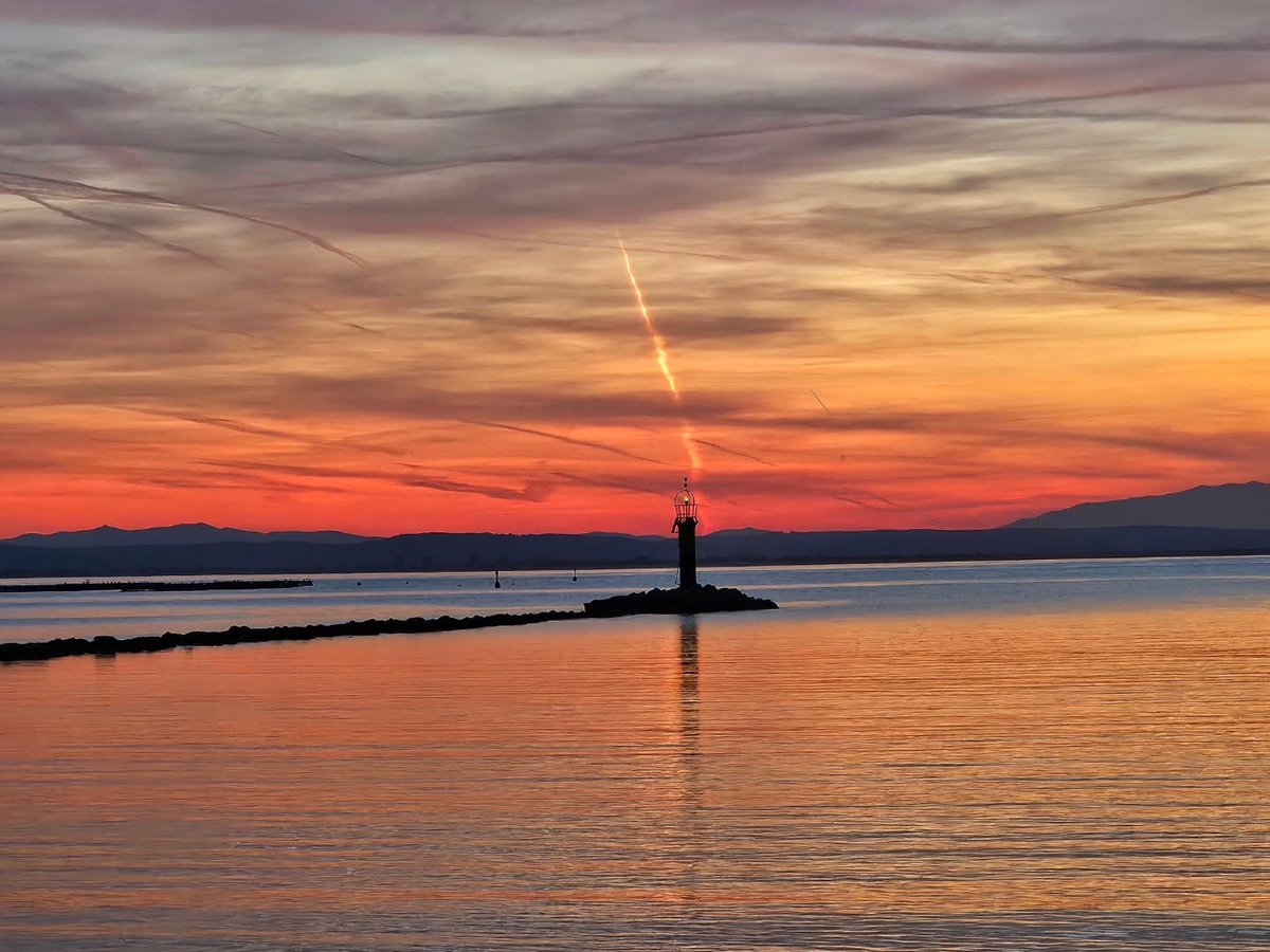 Visit Roses tweet media