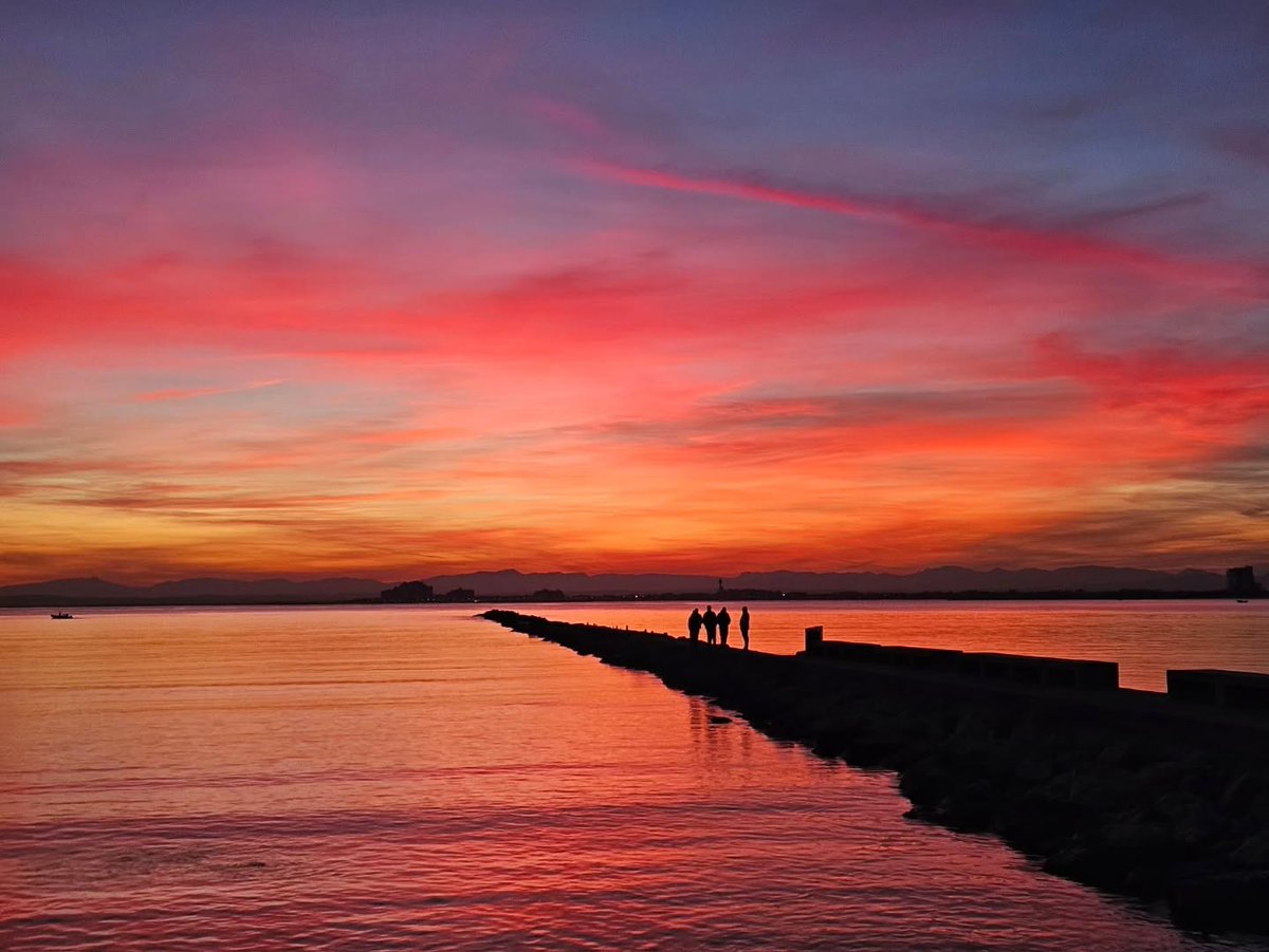 Visit Roses tweet media