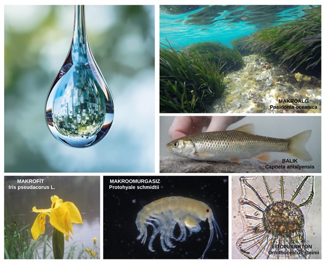 Su Yönetimi Genel Müdürlüğü tweet media