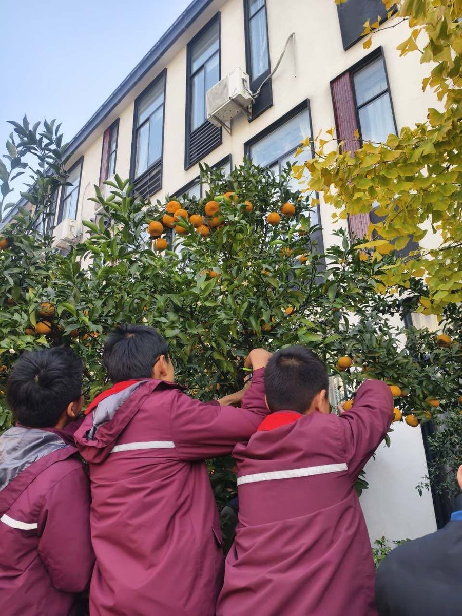 shamsudheen tweet media