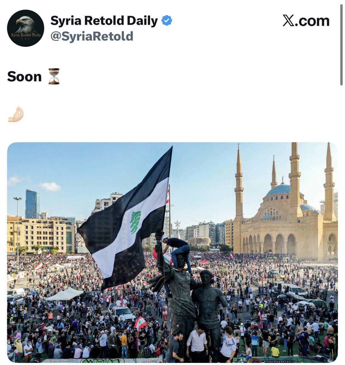 Lynn Traboulsi tweet media