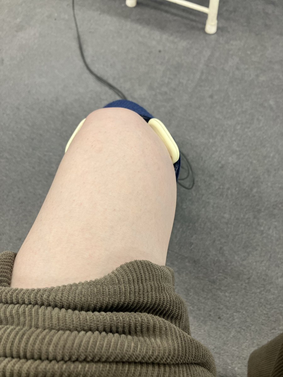 M H にゃんずと息子 H H tweet media