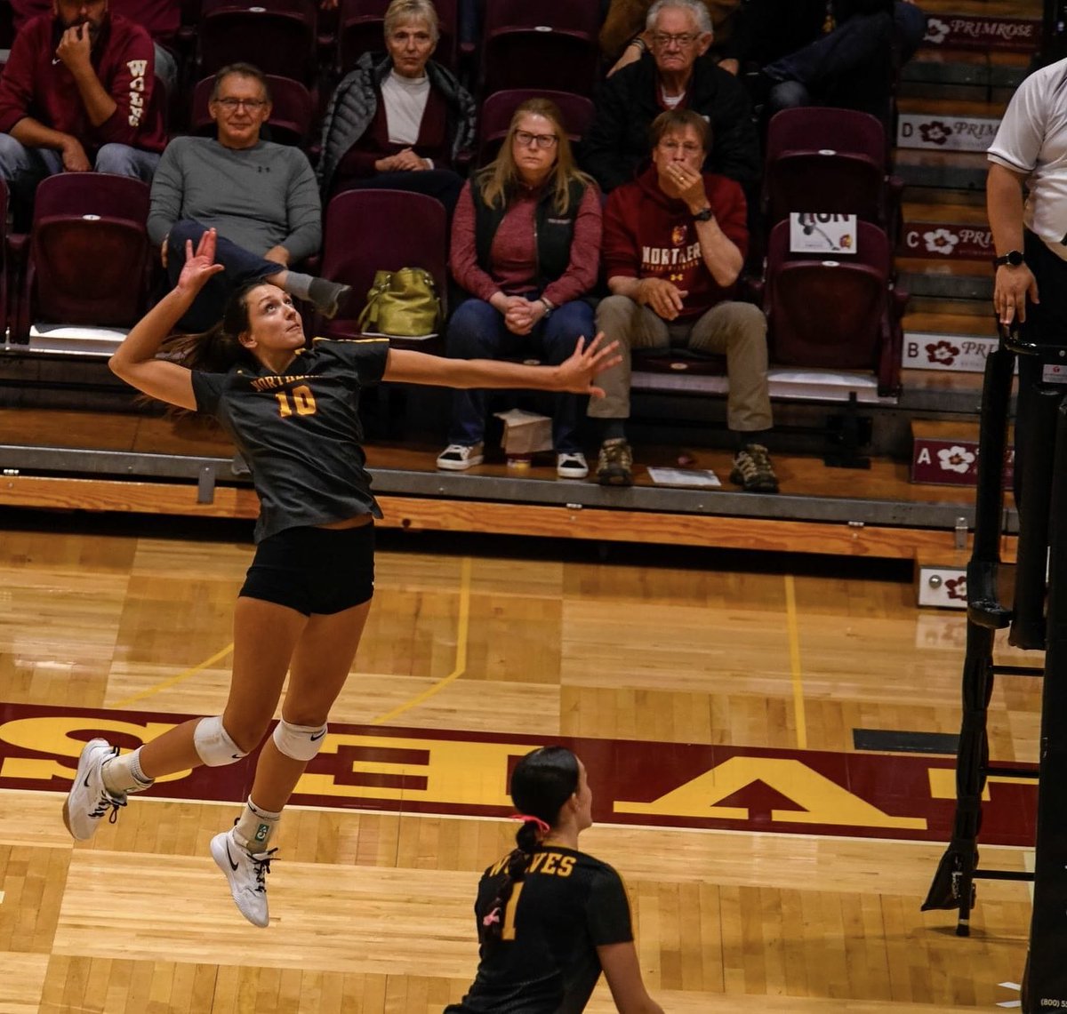 NSU Volleyball tweet media