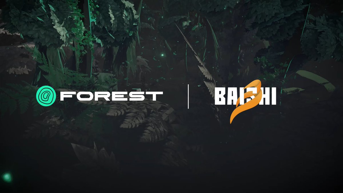 FOREST tweet media