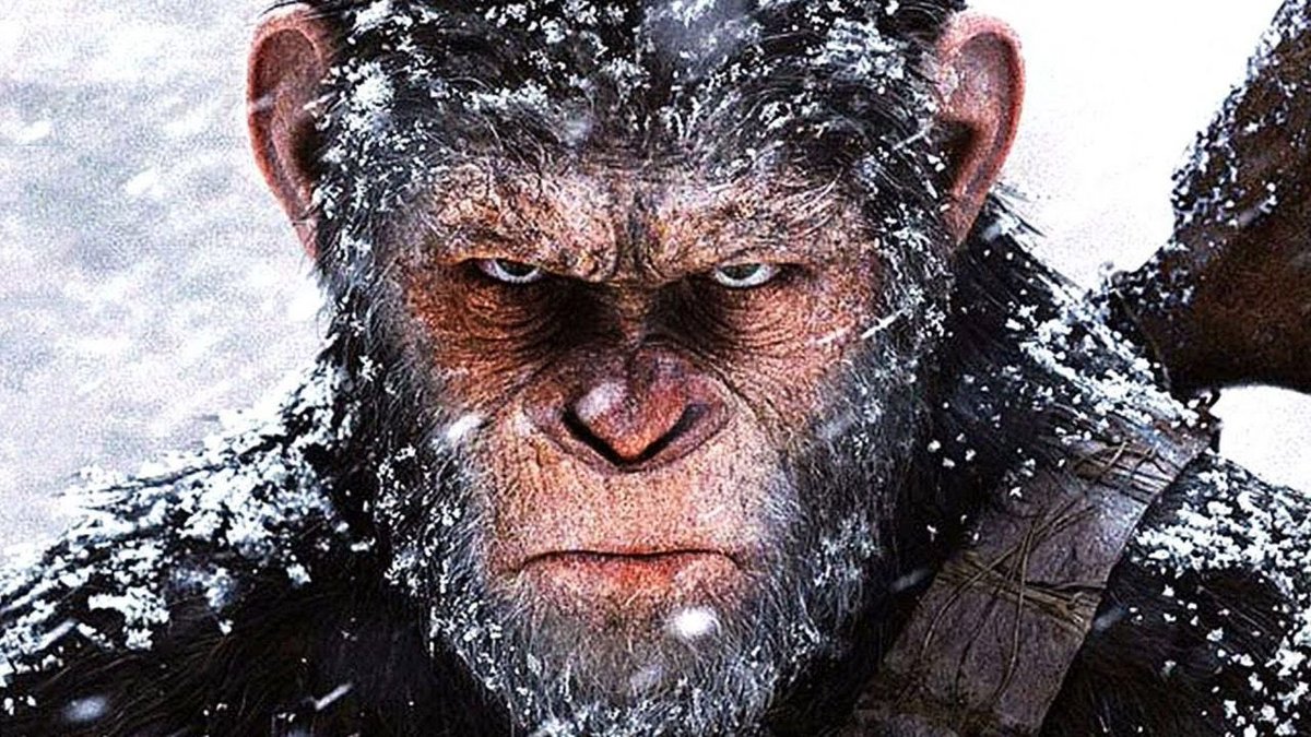 OUTOFSOLNOW's tweet photo. Today I #Noape but DCA into the $monkeygun
It’s a conviction of mine. We will grow from the washout. The troop will gain control and an army will form. Buckle up bitches, it may be a bumpy ride but the team is in it to win it.
The team just won’t quit. https://t.co/cLQf7Ikbpf