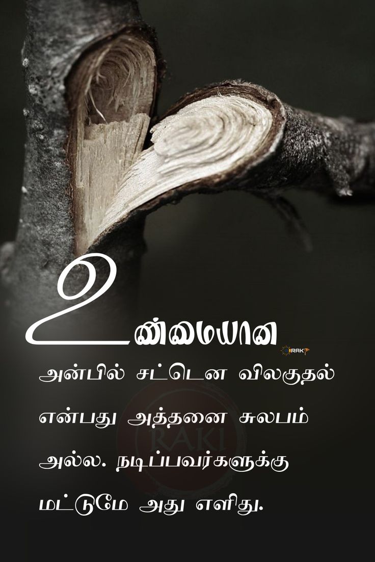 sas87051's tweet image. 😇✨🦋

#quotesaboutlife