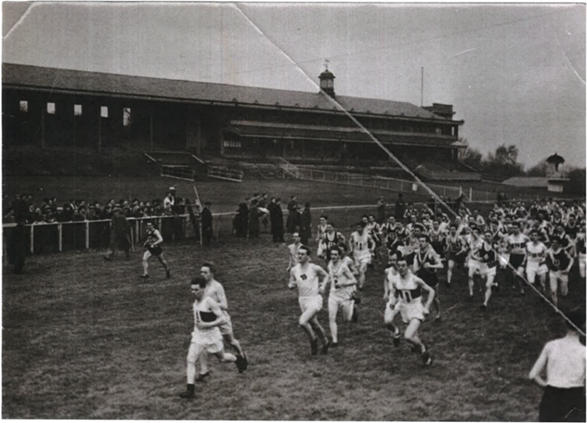 Hamilton Park tweet media