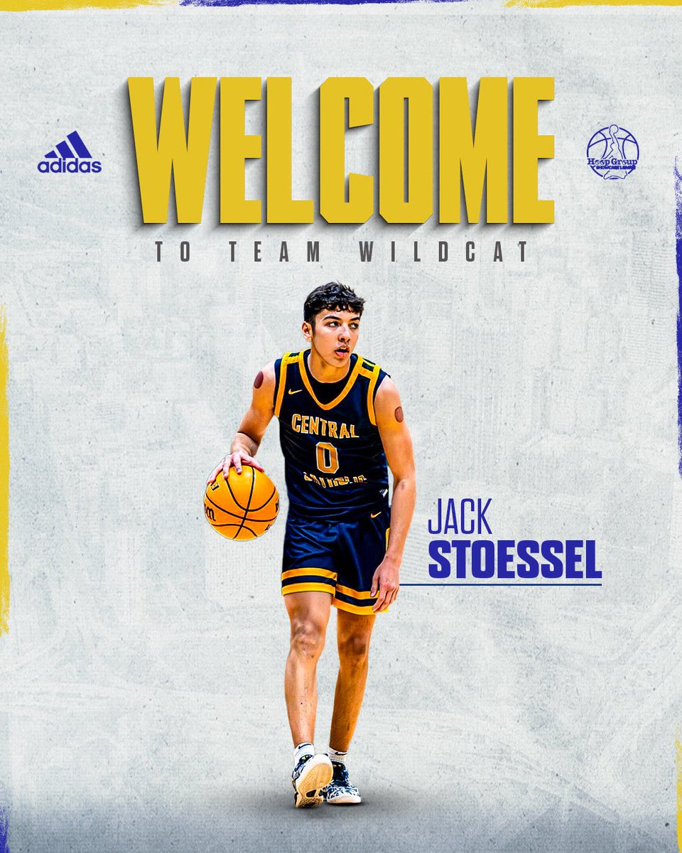 Team Wildcat tweet media