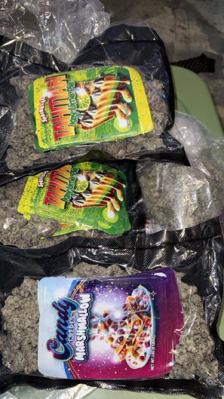 orlando_weedman's tweet image. Gumbo smalls

1 for 500
5 for  2k
10 for 3,750

#weedorlando #orlandofl #weedplug #CannabisNews #gas
