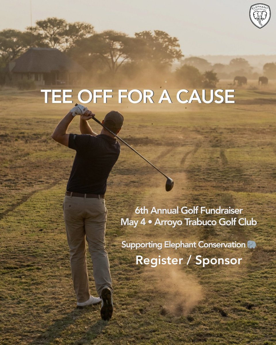 Elephant Cooperation tweet media