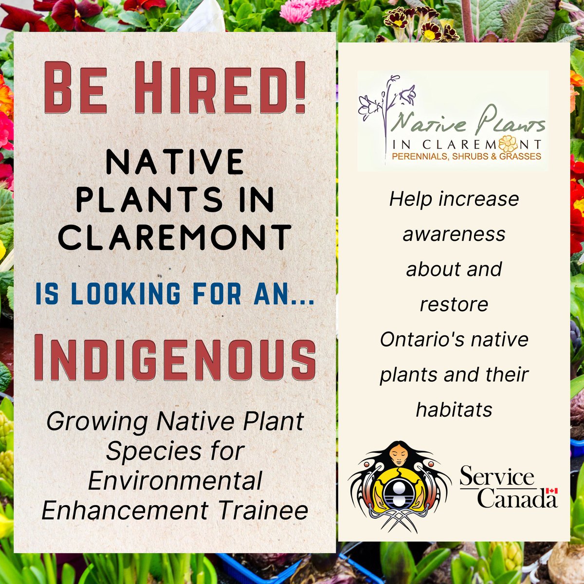 Miziwe Biik Aboriginal Employment and Training tweet media