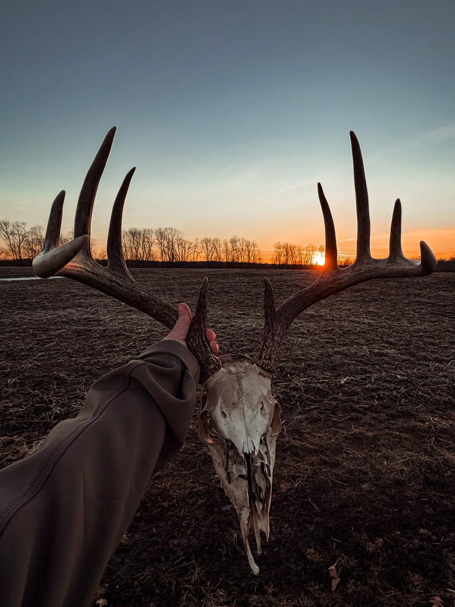 Buckmasters Nation tweet media