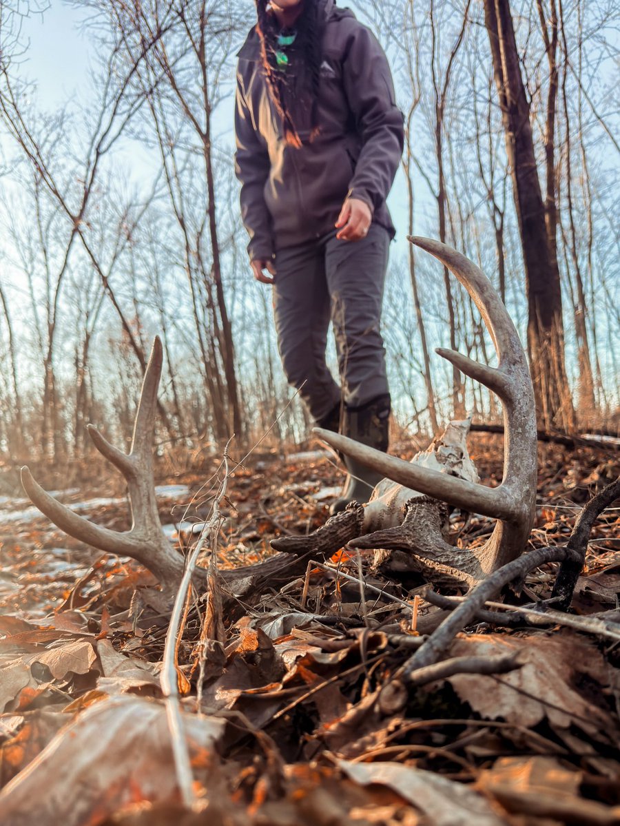 Buckmasters Nation tweet media