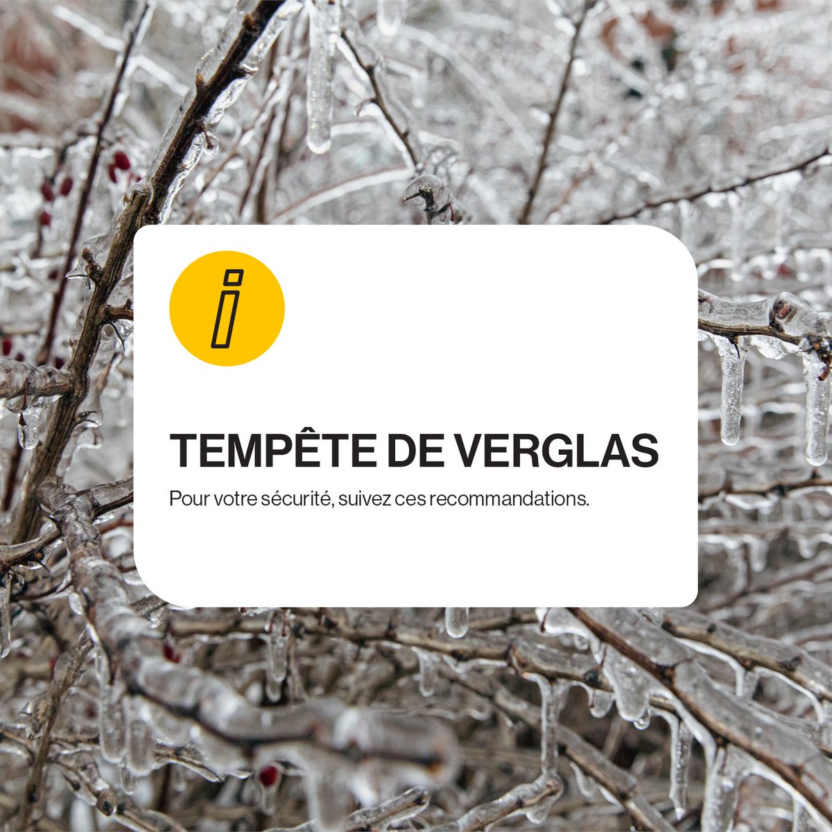 Ville_Brossard's tweet image. ‼️Un épisode de #verglas majeur est attendu dès cette nuit. Les accumulations de glace peuvent entraîner des #pannes, des bris d’infrastructures et des #conditions de déplacement difficiles.

La Ville de #Brossard surveille la situation et ajustera ses interventions.