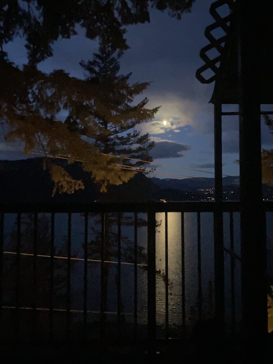 Alice Seba tweet media