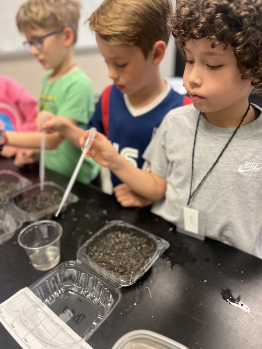 Mrs.Consoer tweet media