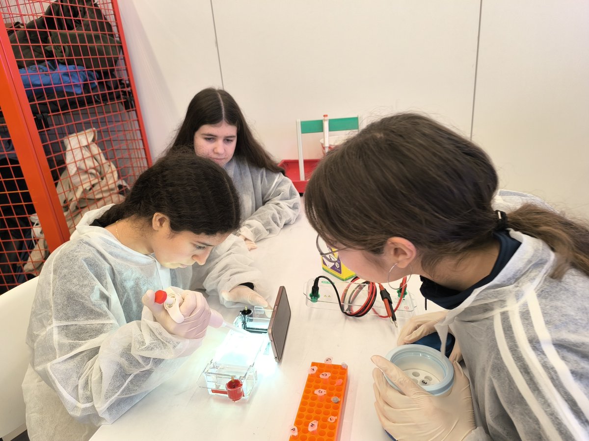 Institut de Sales tweet media