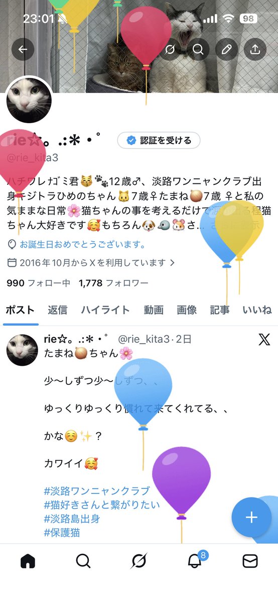 rie☆。.:*・゜ tweet media