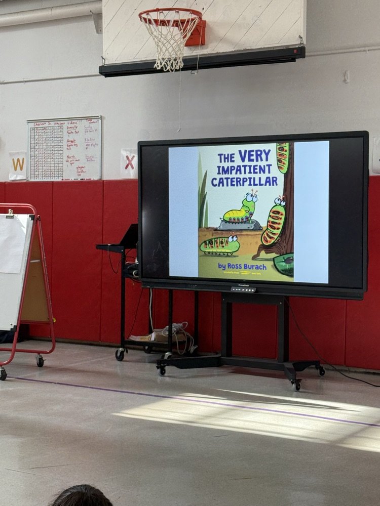 WHChestnut tweet media