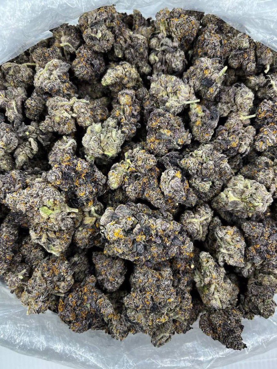 orlando_weedman's tweet image. Best tags 
HMU 🤙 for your needs 
#OrlandoExotics #Orlandogas #Mobileplug #Kissimmeeplug #Orlandoweed #Mobileplugorlando