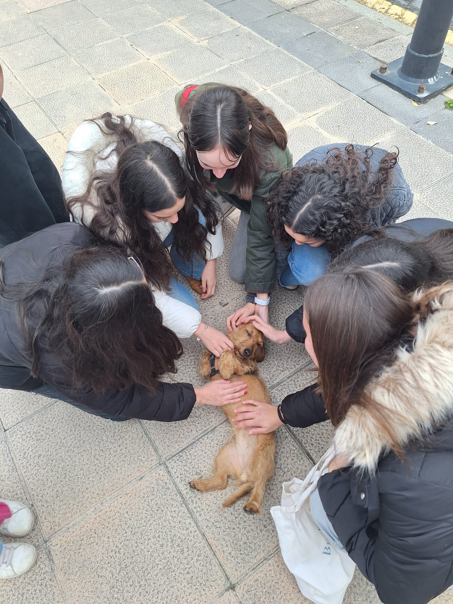 Ellacuria-Zurbaran BHI tweet media