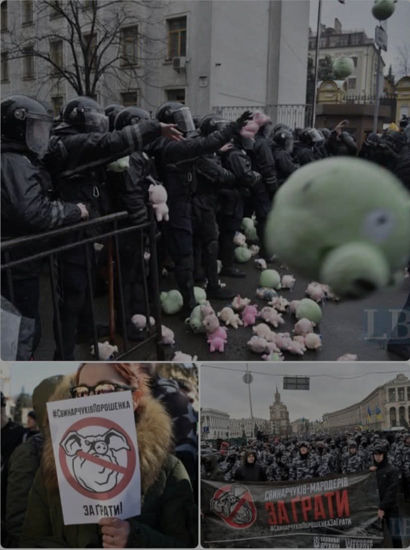 Lida Sha tweet media