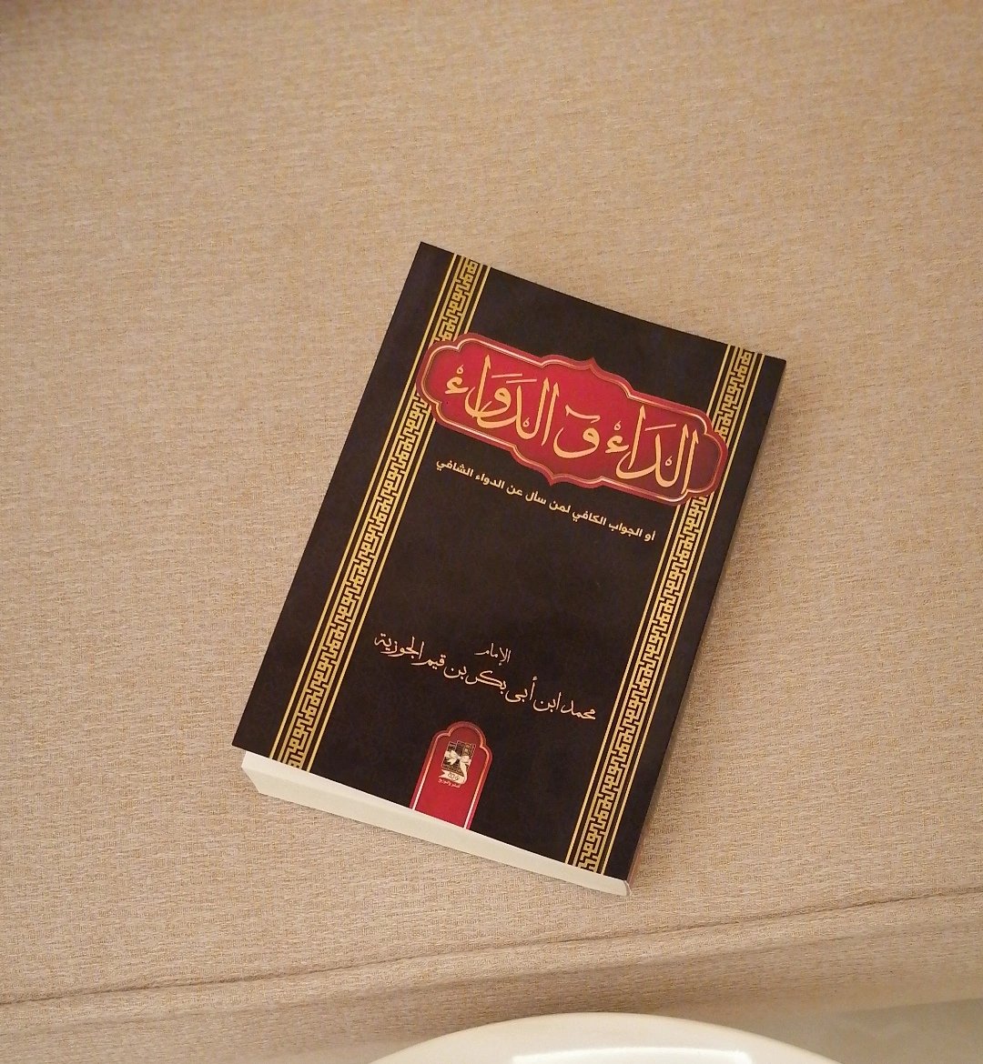 سَارة🎐 tweet media