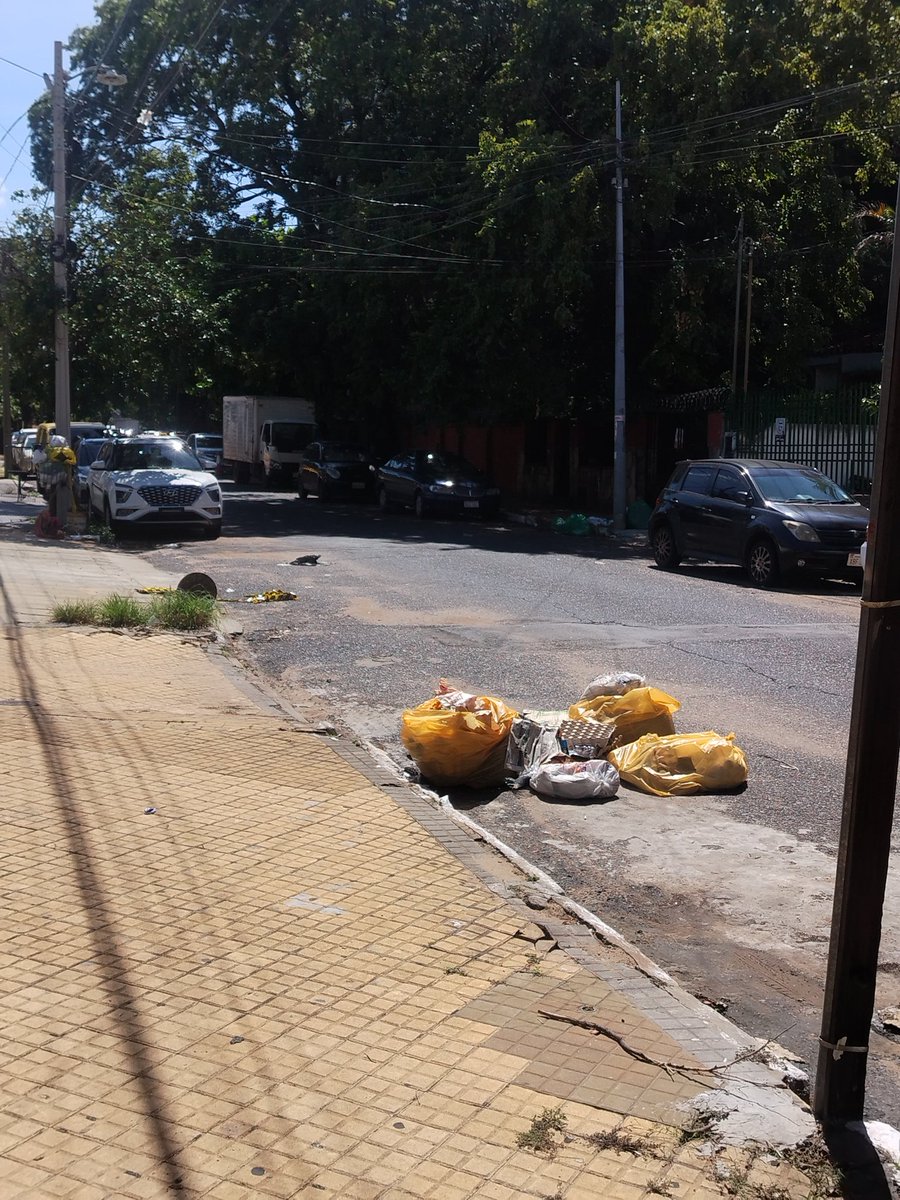 Silvia Sosa tweet media